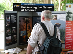 Conservation display