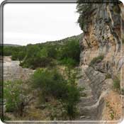 Photo of the Edwards Plateau