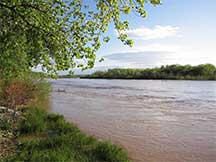 Rio Grande near Sevilleta NWR