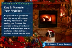 Day 3: Maintain Your Fireplace