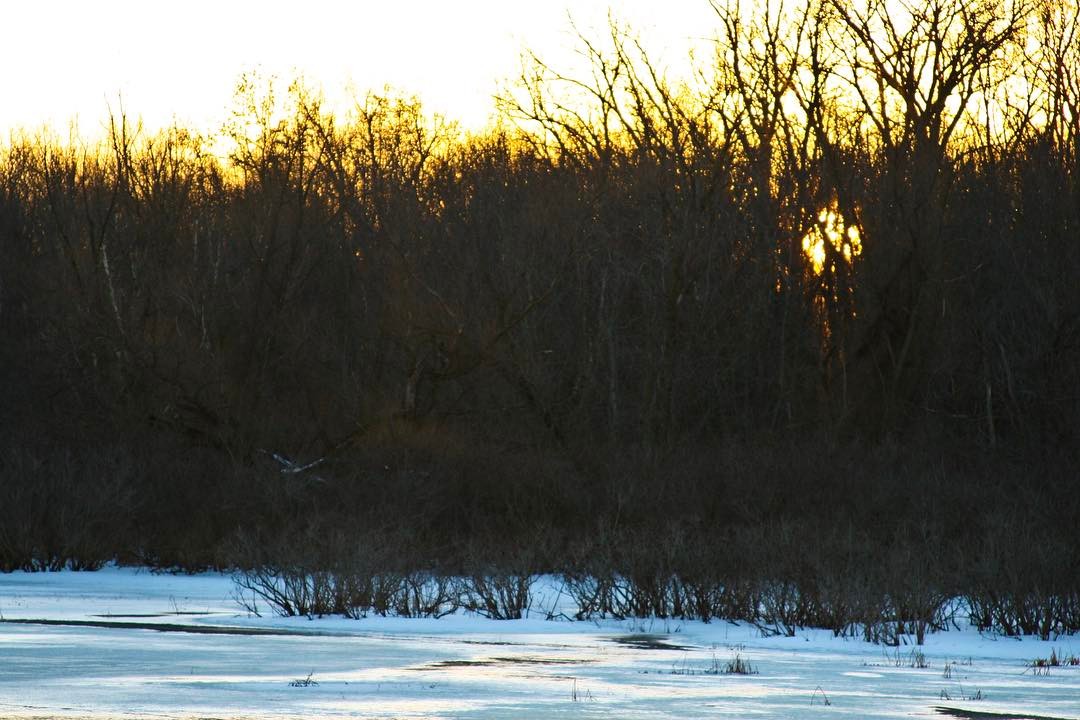 #SunsetSunday has arrived! Today's photo is from Reclamation's Fruitgrowers Dam and Reservoir, located in Grand Junction, Colorado. 
The dam stands 55 ft. tall, and is 1,520 ft. long. In total, Fruitgrowers reservoir stores about 4,540 acre feet of water. This area is known to be great for bird watching, too!

To learn more about Fruitgrowers Dam and Reservoir, visit https://www.usbr.gov/projects/index.php?id=138.

Photo by Emily Quinn, USBR.

#sunset #sunday #photooftheday #cool #photography #beauty #usbr