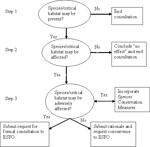 Flowchart of the Section 7 consultation process