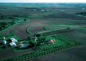 Windbreaks, such as this farmstead windbreak in northwest Iowa, can reduce home heating costs. | Photo courtesy of Lynn Betts, USDA Natural Resources Conservation Service.