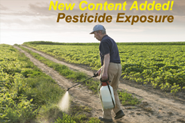 	Man spraying pesticides on crops