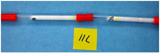 Figure 4. Two Sorbent Tubes in Series