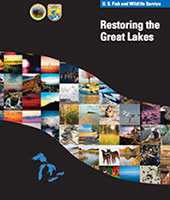 Restoring the Great Lakes: Success Stories from the 2010 Field Season