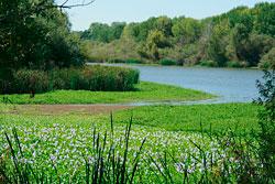 Stones Lake Wildlife Refuge