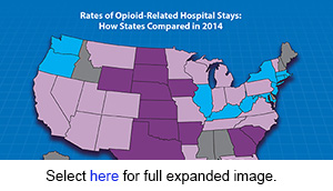 Title: Opioids' Burden on Hospital Care: A State-by-State Comparison. The Nation’s opioid epidemic resulted in a 64 percent rise in opioid-related hospital stays between 2005 and 2014. Hospital rates varied widely by state in 2014, ranging from 362 opioid-related stays per 100,000 people in Maryland to 44 per 100,000 in Iowa. This map shows the states with the highest and lowest rates in 2014. States with the highest rates include: Connecticut, District of Columbia, Illinois, Kentucky, Maryland, Massachusetts, New Jersey, New York , Oregon, Rhode Island, Washington, and West Virginia. States with the lowest rates include: Arkansas, Georgia, Hawaii, Iowa, Kansas, Nebraska, Oklahoma, North Dakota, South Carolina, South Dakota, Texas, and Wyoming. No data were available for Alabama, Alaska, Delaware, Idaho, Maine, Mississippi, or New Hampshire.