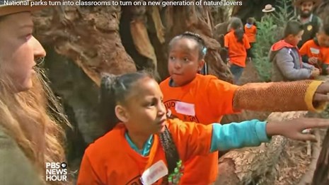 Park rangers in uniform show students redwood trees