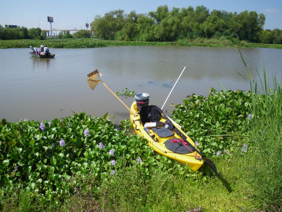 Sampling during the National Lakes Assessment 2012