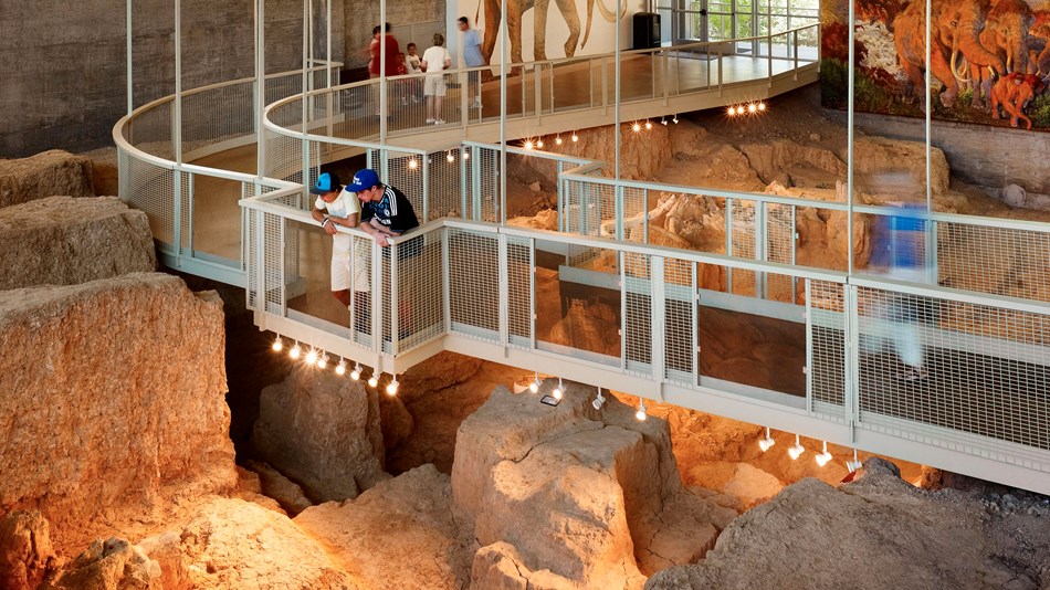 Visitors observe fossils from a suspended walkway in the dig shelter.