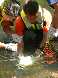  [Photo: USGS scientist collects water-quality samples.] 