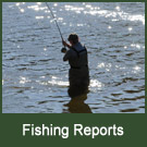 fishing reports