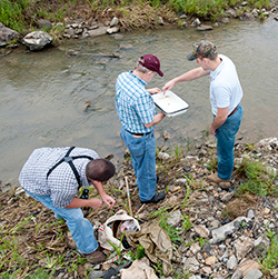 From a bio-assessment of a stream, biologists can get a good idea, based on which species are present in the stream, the water quality.