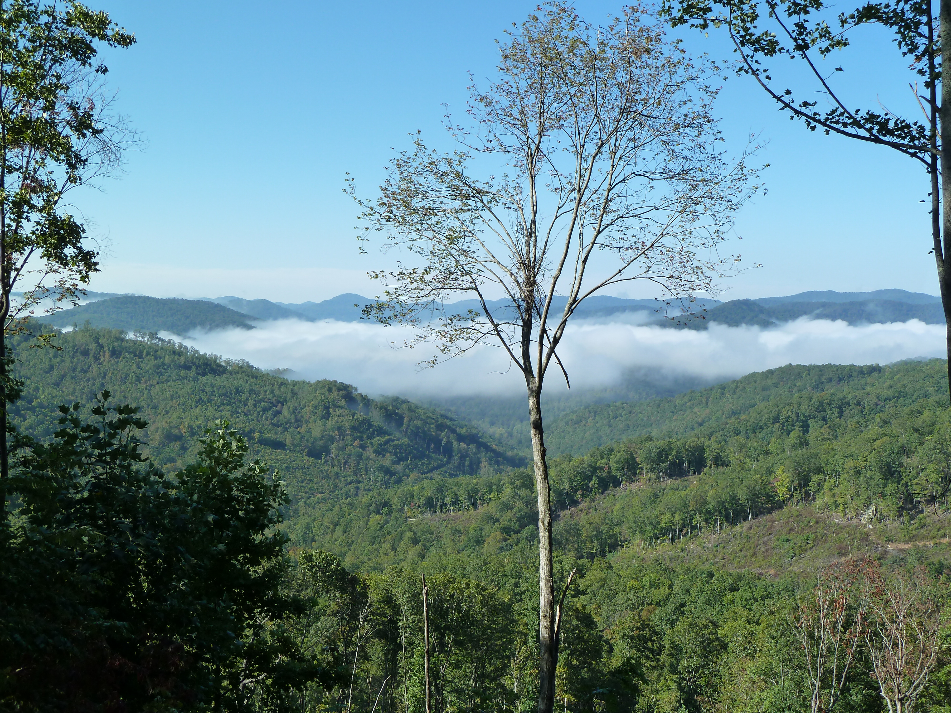 View from Anderson Mountain in the Tennessee Lands Unsuitable for Mining Petition Area