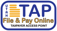 Taxpayer Access Point Logo