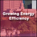 Growing Energy Efficiency