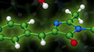 Researchers discovered how green fluorescent proteins (center) react with water (shown around the edges of the protein).