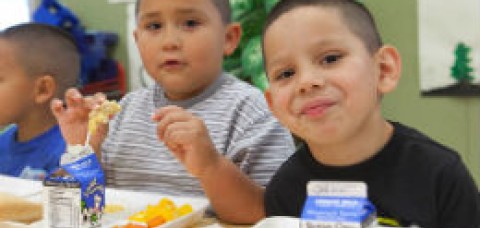 Two young boys eating a healty lunch