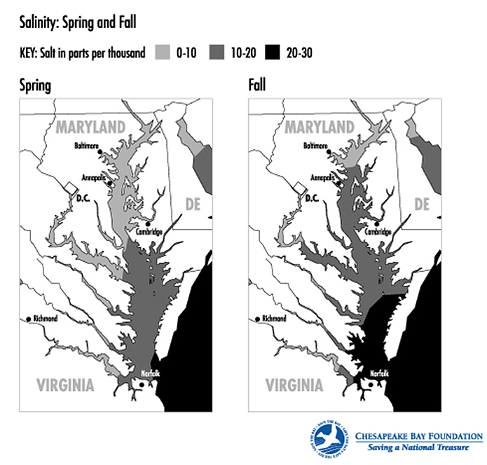 Spring and Fall Salinity Levels