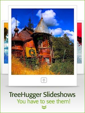 treehugger slideshows