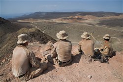 U.S. Marine Corps members with 1st Air Naval Gunfire Liaison Company (ANGLICO), 11th Marine Expeditionary Unit (MEU), communicate with players on the range during Exercise Alligator Dagger, Dec. 18, 2016, at Arta Plage, Djibouti. On the ground, ANGLICO is tasked to communicate and coordinate with air or naval gunfire assets, as well as provide situational updates of target sites during their bombardment. (U.S. Air National Guard photo by Staff Sgt. Penny Snoozy)