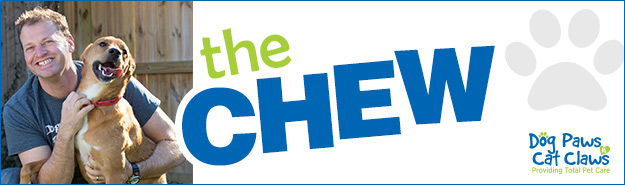 The Chew column banner