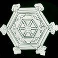 Hexagonal Plate Snow Crystal With Sector-like Extensions