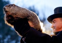 Man holding groundhog (© AP Images)