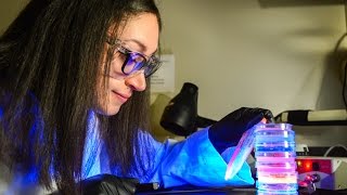 Scientists use fluorescent gels for innovative brain research