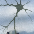 Ice Pattern on Pond Near Freeport, Maine