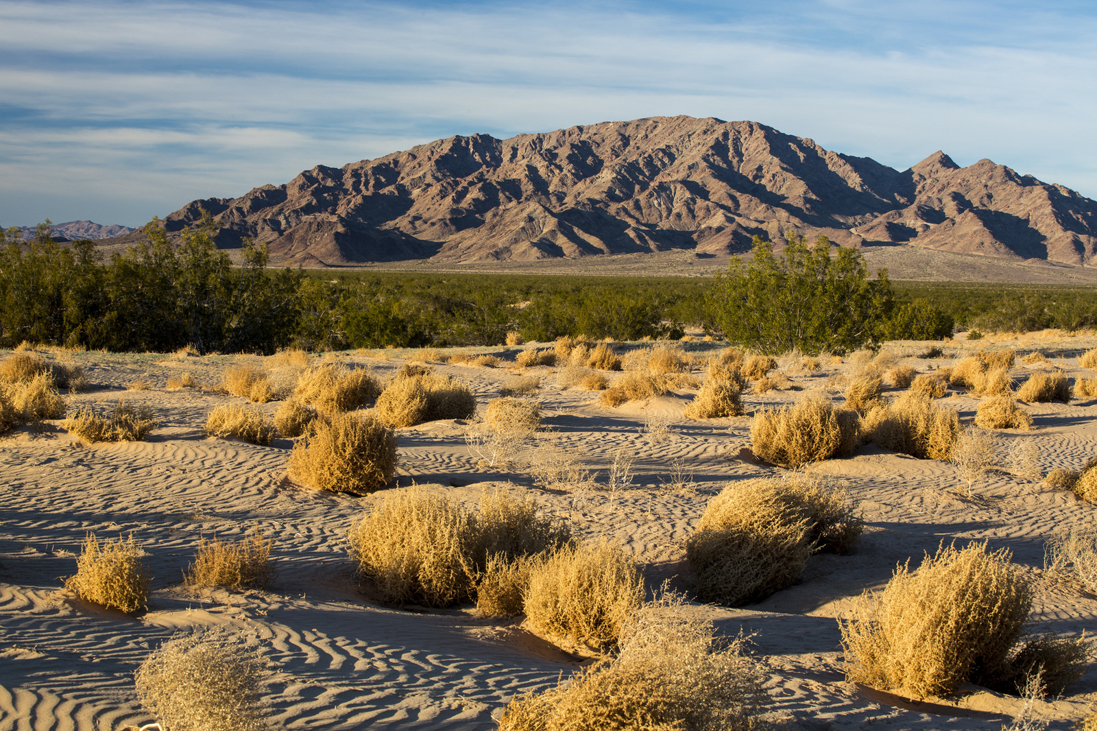 Mojave Trails