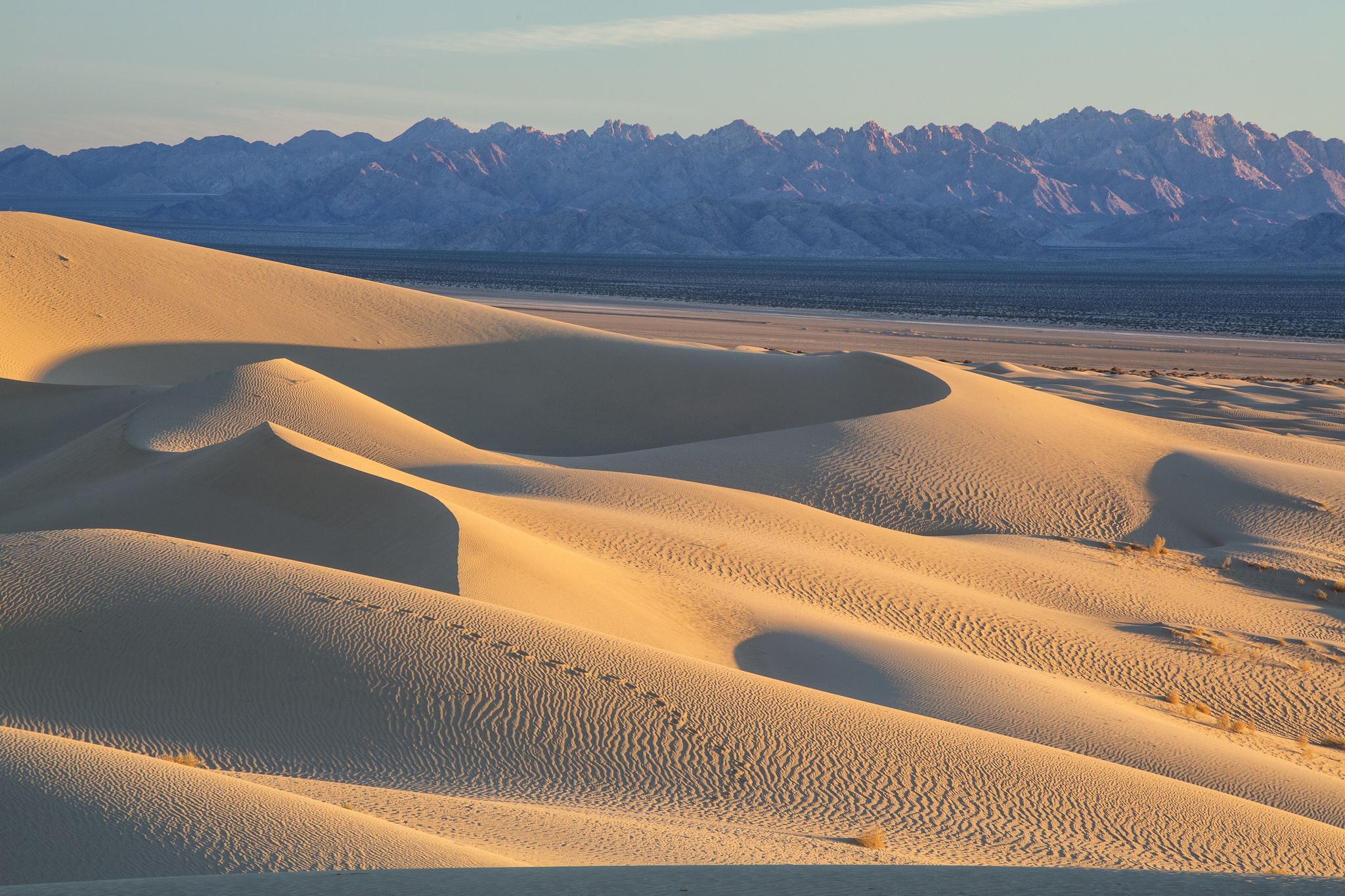 Mojave Trails