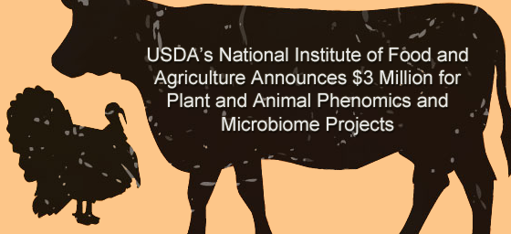 USDA’s National Institute of Food and Agriculture Announces $3 Million for Plant and Animal Phenomics and Microbiome Projects