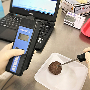 Measuring temperature of cooked meatballs