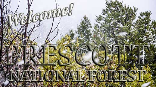 Welcome to Prescott National Forest