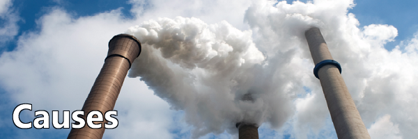 Smoke emits from a facility smokestack