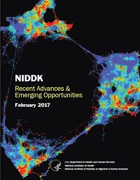NIDDK Recent Advances & Emerging Opportunities 2017
