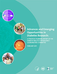 Advances & Emerging Opportunities in Diabetes Research: A Strategic Planning Report of the Diabetes Mellitus Interagency Coordinating Committee