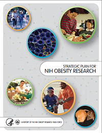 Strategic Plan for NIH Obesity Research