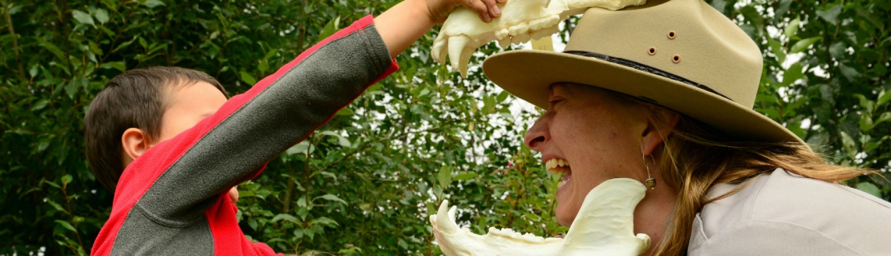 A National Park Service ranger connects with a boy, playing with the jaws of what appears to be a fierce creature. Those are some serious teeth!