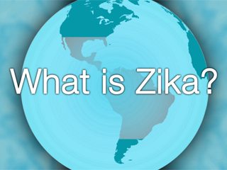 What is Zika?