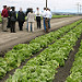 Agriculture Secretary Tom Vilsack visit to Salinas, CA