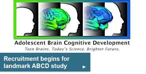 Recruitment begins for landmark study of adolescent brain development