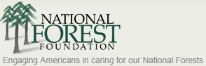 Three trees next to the words "National Forest Foundation."