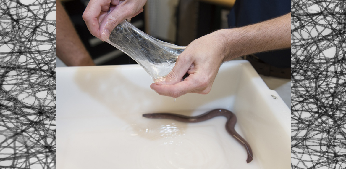 Synthetic Hagfish Slime to Assist Sailors