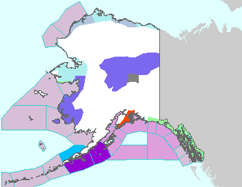 This image displays watches, warnings, statements and advisories issued by the National Weather Service