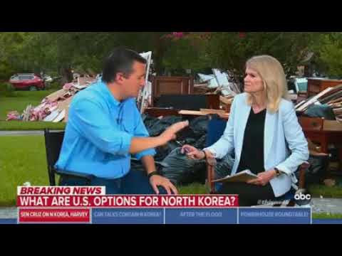 Sen. Cruz on ABC's This Week - August 3, 2017
