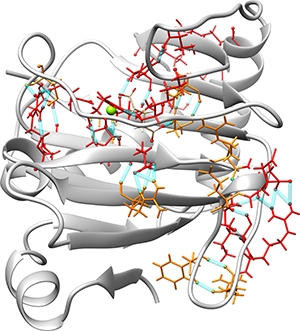 chemical model