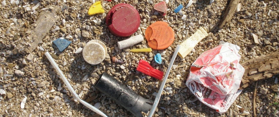 Various marine debris items on a beach.